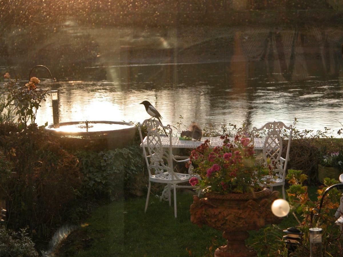 Chiswick Riviera With Free Parking Bed & Breakfast London Luaran gambar