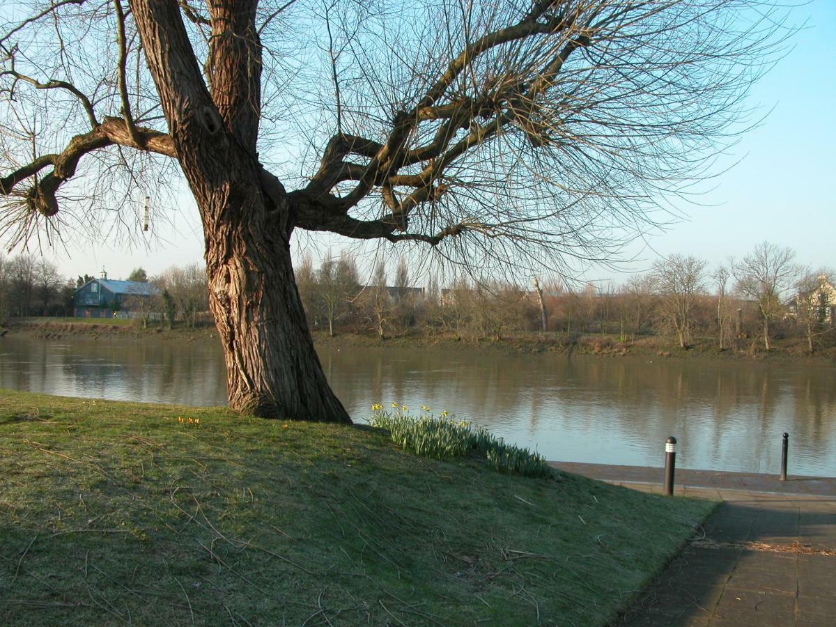 Chiswick Riviera With Free Parking Bed & Breakfast London Luaran gambar